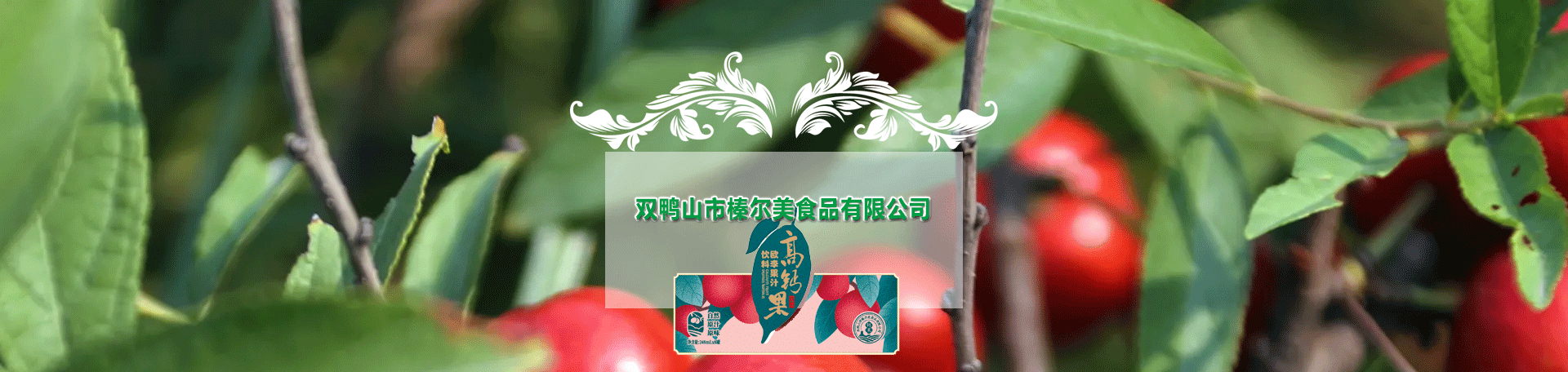 資質證書